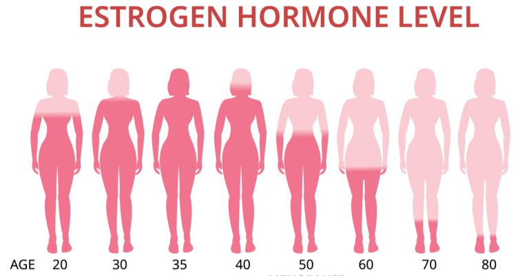 nồng độ hormone estrogen